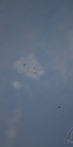 2012 Svojek mirek patek